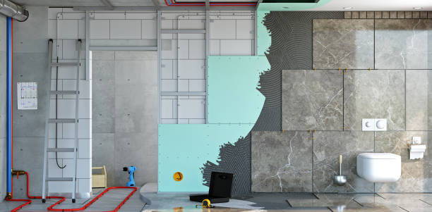 Best Basement Mold Removal  in Highwood, IL